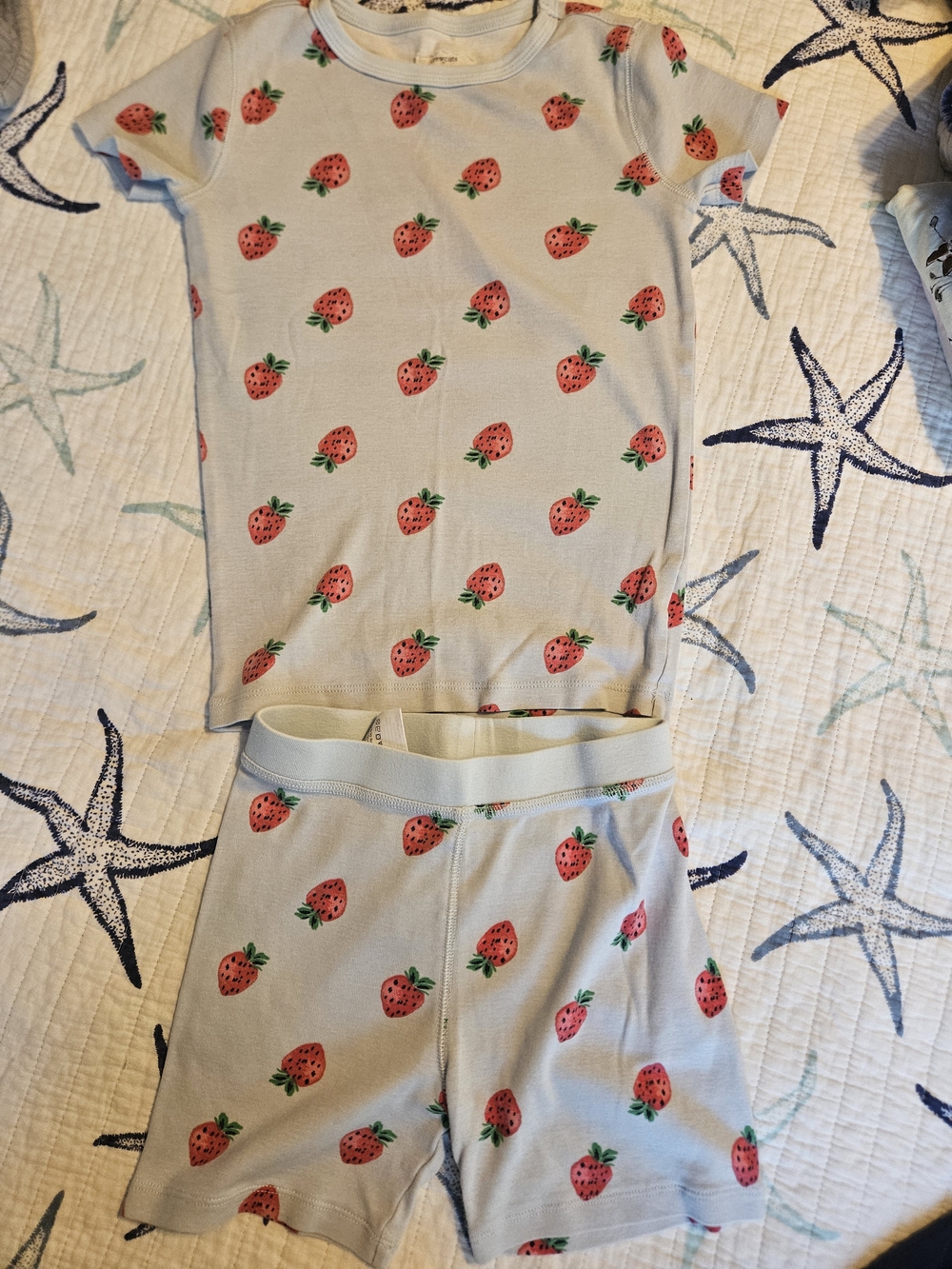 J. Crew Factory Light Blue Kids Pajama Set with Strawberry Print